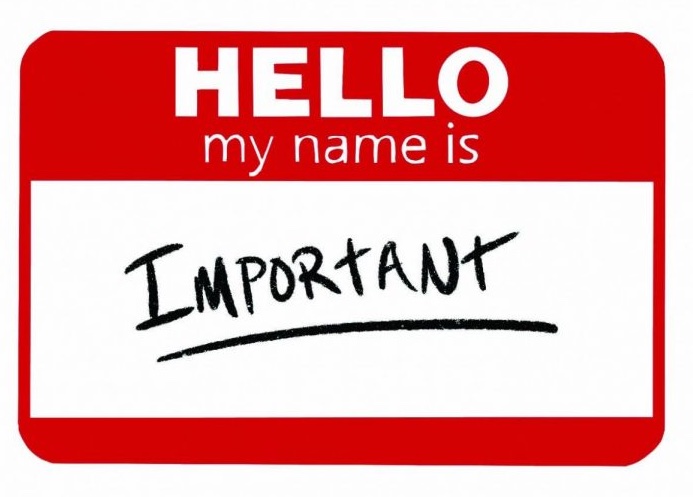 red "HELLO my name is" name badge with IMPORTANT filled in